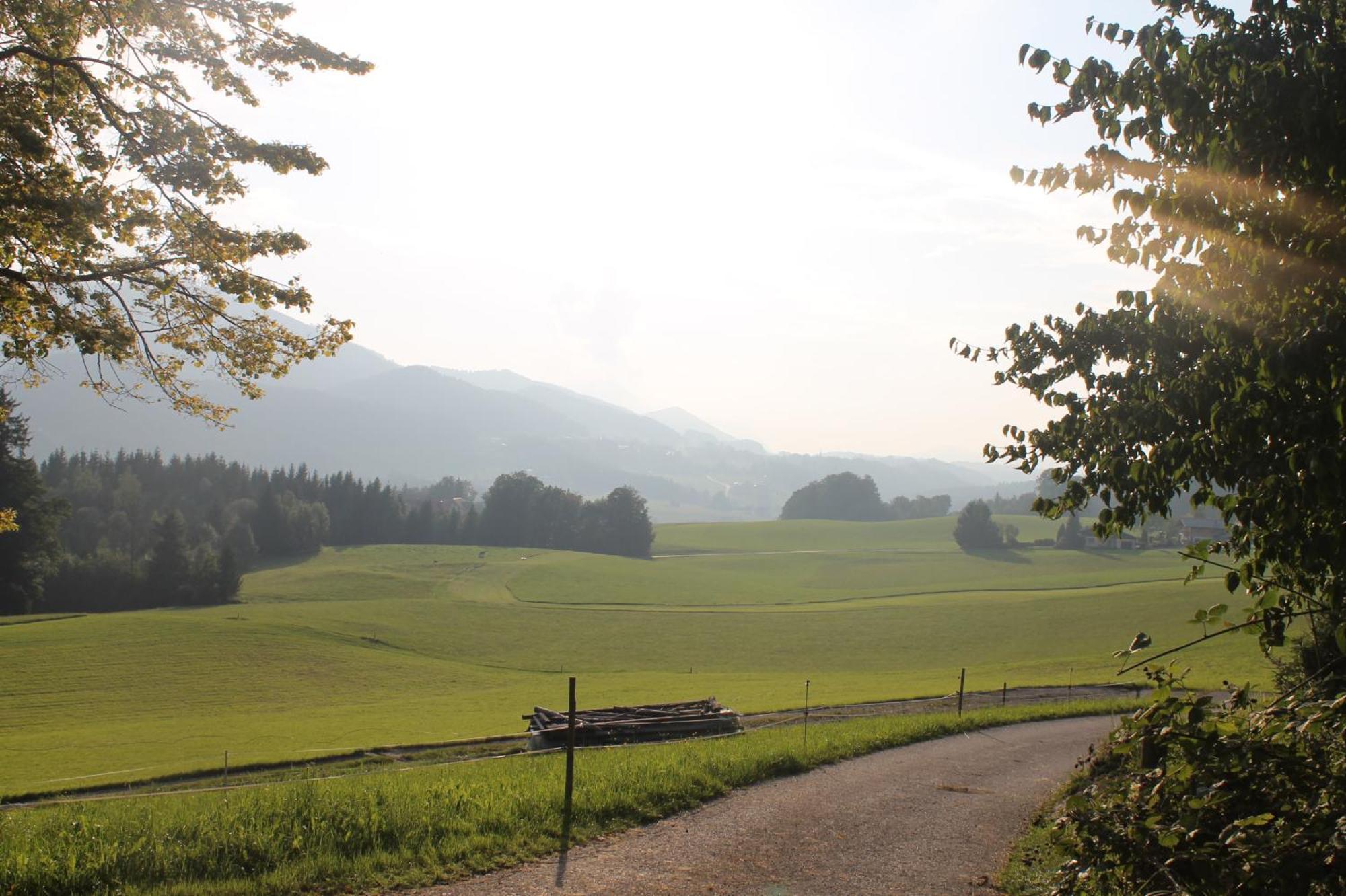 Leitingerhof Vila Thalgau Exterior foto